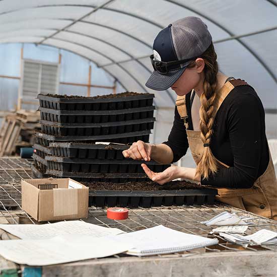 Picture of green technology